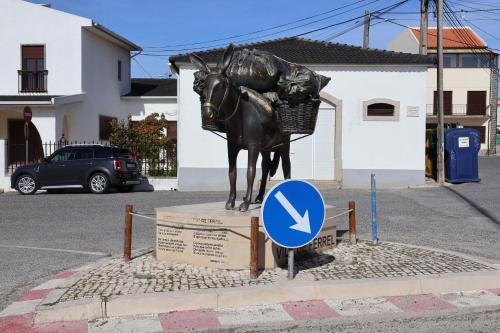 Ferrel Apartment | BBA1 Appartement climatisé centre-ville Ferrel