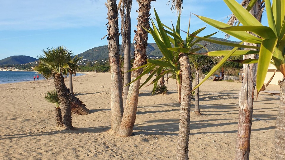 La Croix-Valmer Apartment | BEACH BETWEEN CAVALAIRE AND LA CROIX VALMER. close to SAINT TROPEZ.