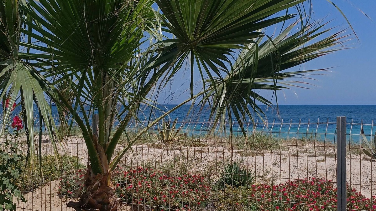 Tantana Condo | Beach Front Luxury Living Apartment