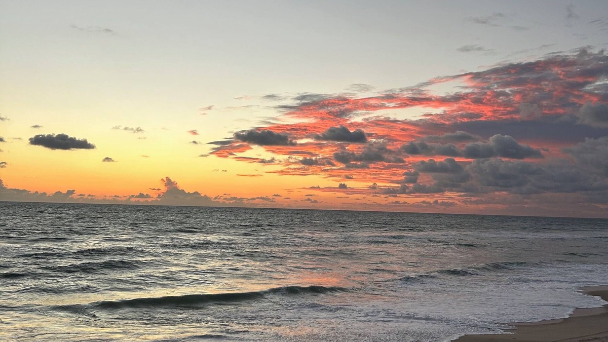 Floridana Beach Apartment | Beach front with pool ! Great reviews . Very Quiet area !