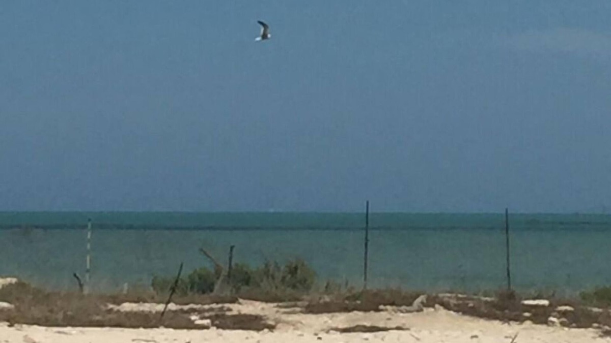 Progreso Municipality House | Beach house (2nd row) colonial home