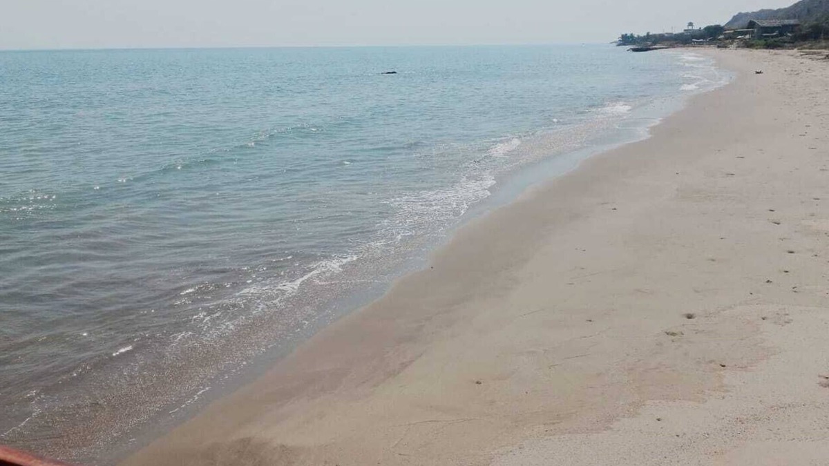 Zorritos House | Beach house in Zorritos with ocean view, family friendly and pet friendly.