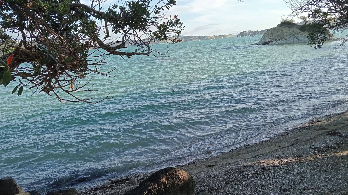 Parua Bay House | Beach House with Amazing Views