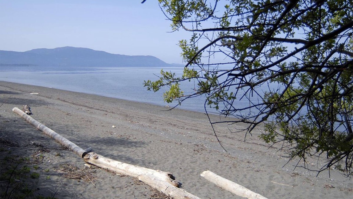 Lummi Island Condo | Beach, Pickleball-Tennis Court & Basketball Court