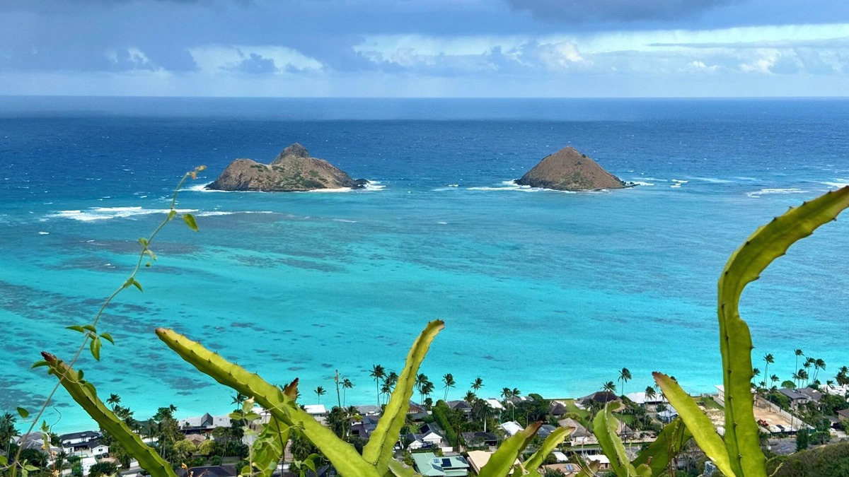 Lanikai House | Beach Studio with private yard in Lanikai - 30 day Minimum Stay