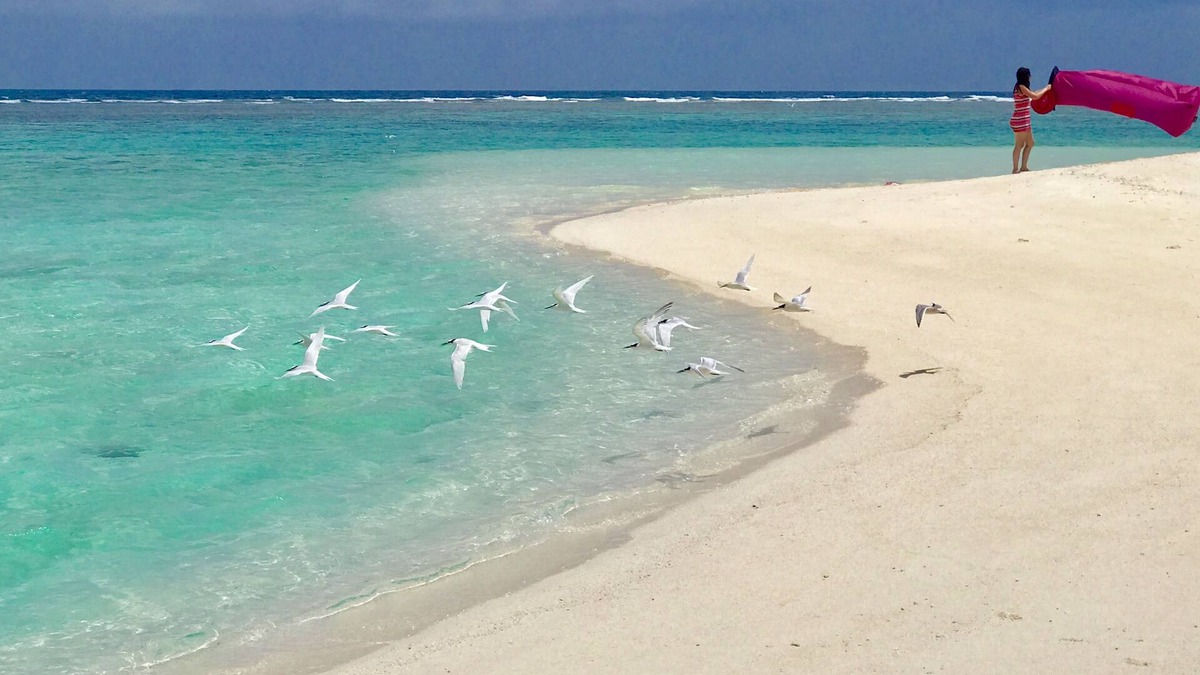Ukulhas House | Beach Veli