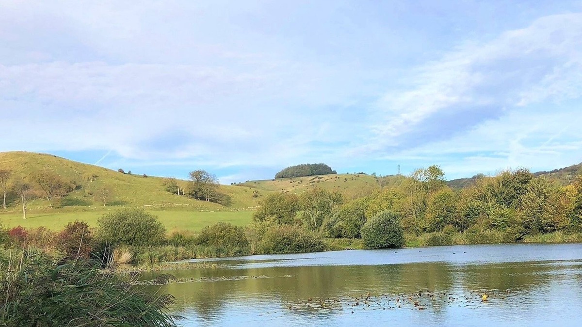 Newington Bed & Breakfast | Beachborough Park