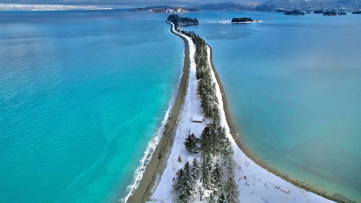 Seldovia Village Cabin | Beachcomber Cabin, Glaciers, Bears, Kayaking, tide pooling, fishing, sups.