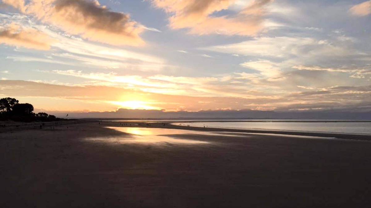 Tahunanui Apartment | Beaches Nelson