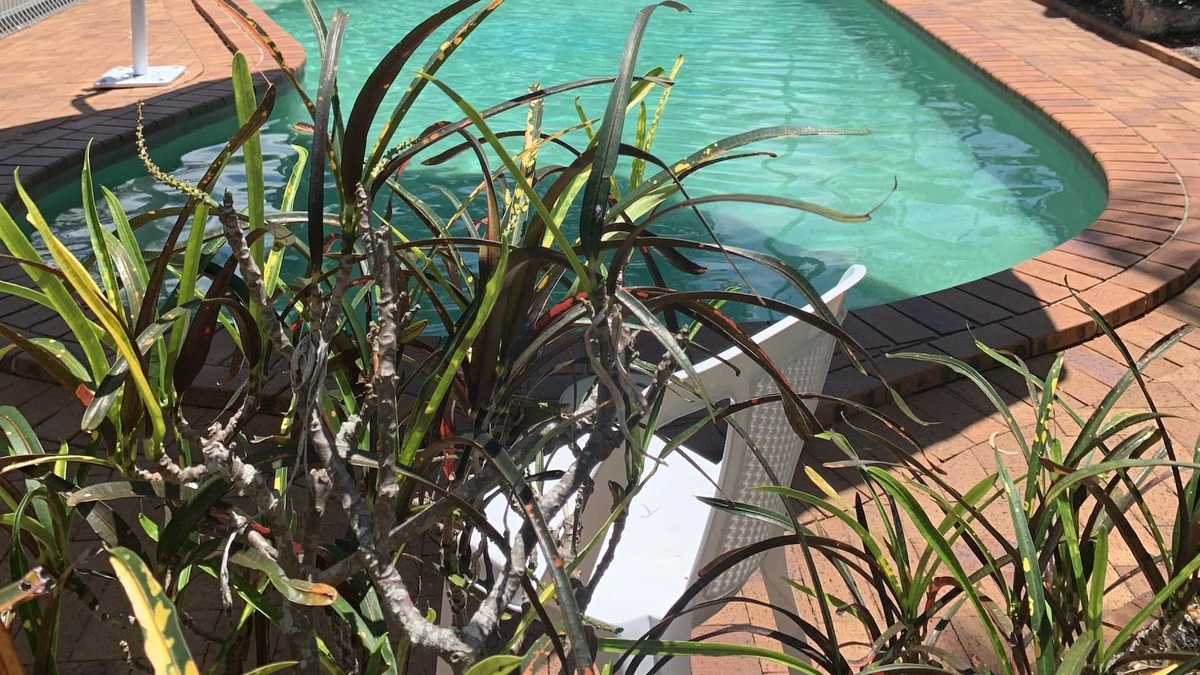 Torquay Apartment | Beachfront at Silver Sands - opposite Shelly Beach in Hervey Bay - Heated Pool