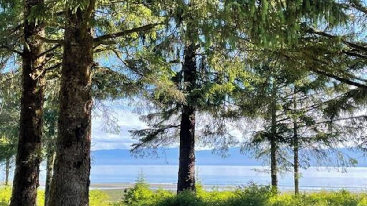 Sekiu Cabin | Beachfront Cabin – Pet-Friendly Romantic Escape w/Views & Huge Deck