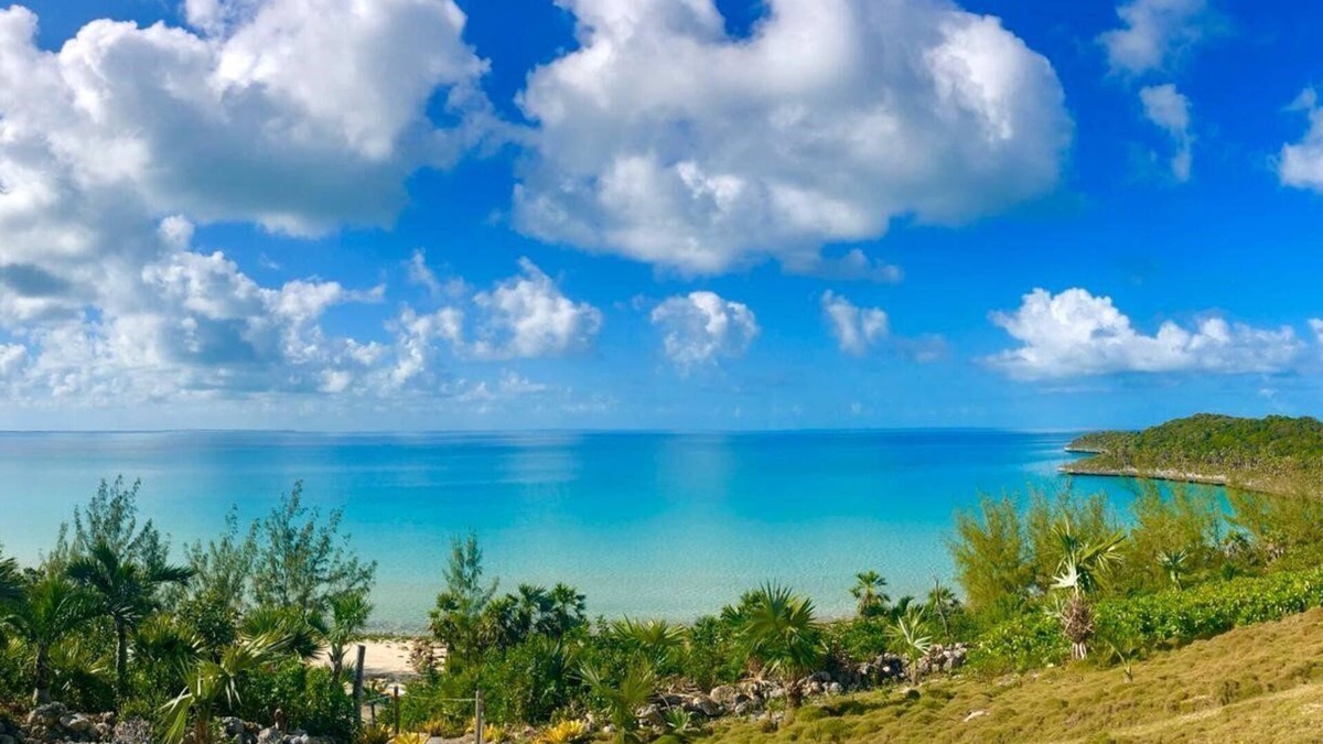 South Palmetto Point Cottage | Beachfront Cottage with Spectacular Ocean Views TOP RATED