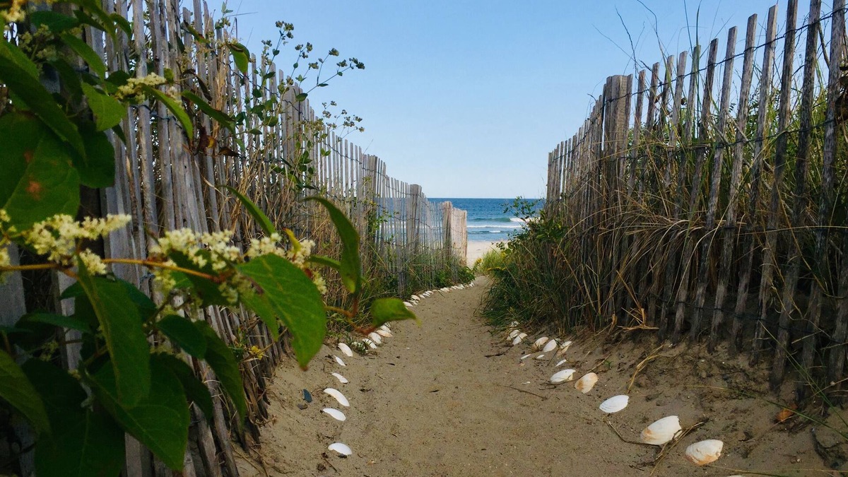 Waveland House | Beachfront House - Can't get any closer to the beach than this home!