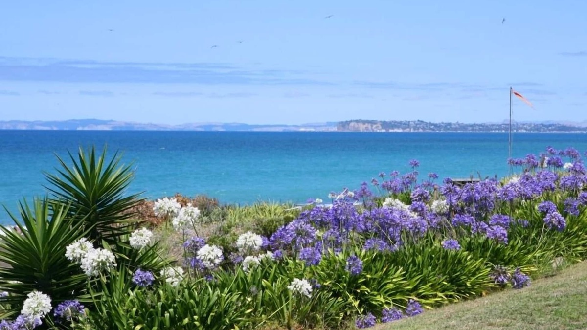 Eskdale House | Beachfront, rustic, sunny 3 bdrm house, with birdlife.