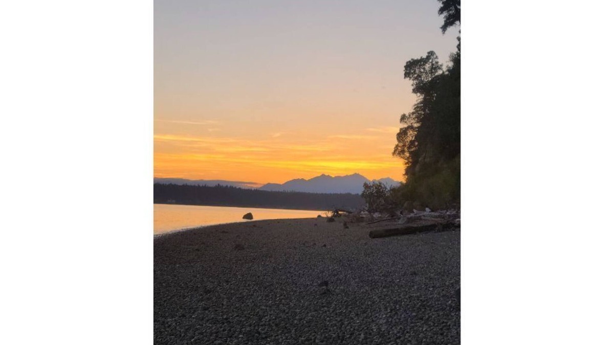 Vaughn Apartment | Beachside One Bedroom Apt on South Puget Sound