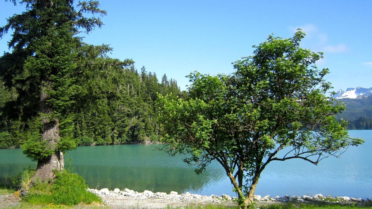 Cordova House | Bear Country Lodge #2