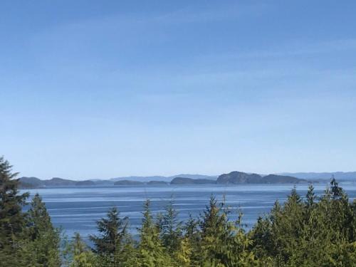 Port Hardy Hotel | Bear Cove Cottages