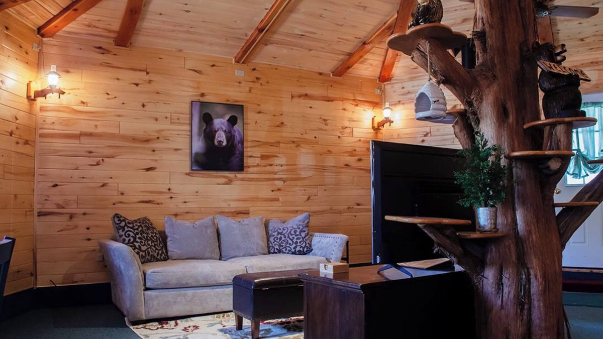 Cortez Cabin | Bear Necessities Cabin, Mesa Verde Getaway