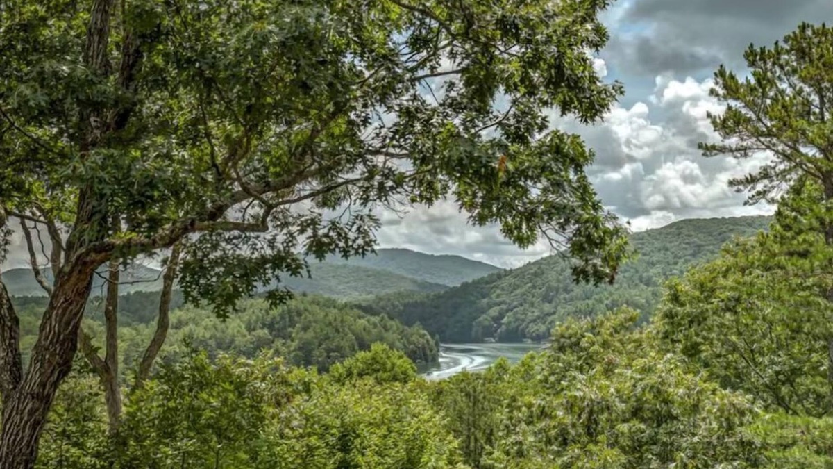 Necowa Cove Cabin | Bearway To Heaven