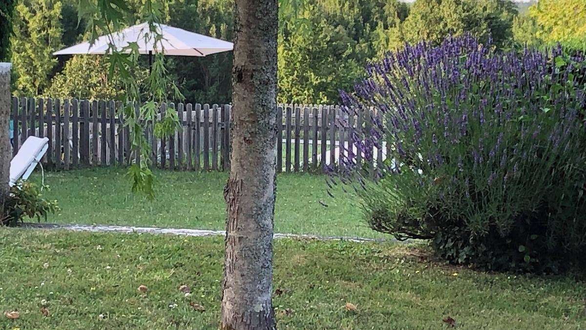 Saint-Michel-de-Montaigne House | Beautiful Farm 16E Century Next to Montaigne Castle