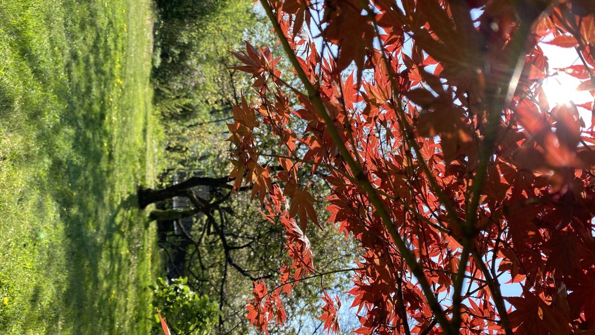 Buckow House | Beautiful, old vacation home with lake view