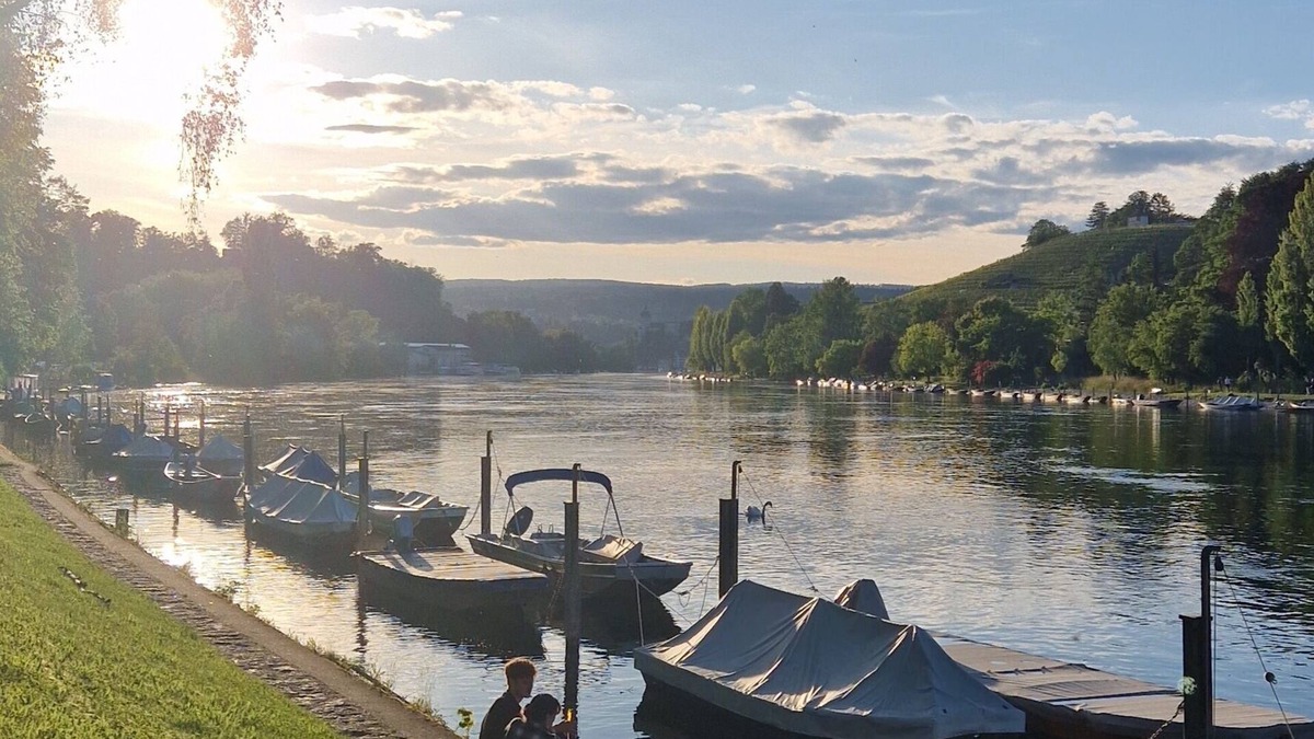 Andelfingen District Apartment | Beautiful 2 room apartment centrally and on the Rhine