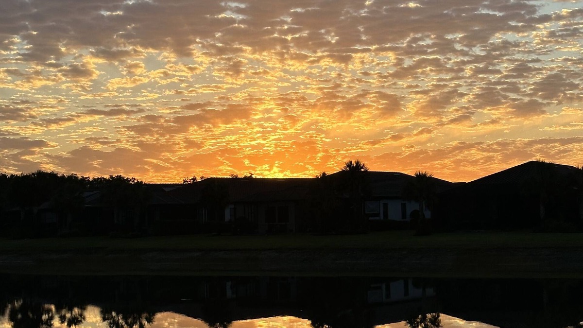 Arborwood House | Beautiful 2019 home with gorgeous amenities in Fort Myers,FL