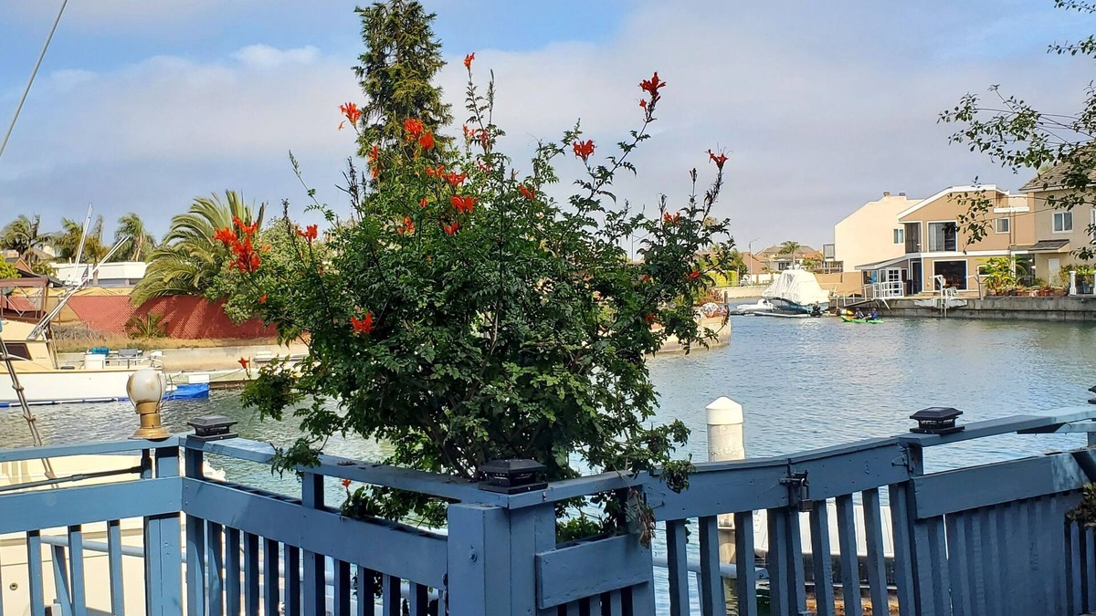 Gilbert Island House | Beautiful 4-Bedroom Waterfront Home with WiFi in Huntington Beach