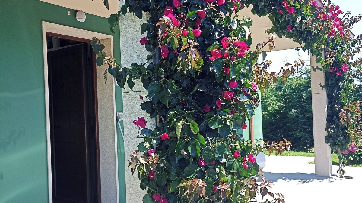 Meiras Ski Chalet | Beautiful and comfortable country house in Meirás, gated property.