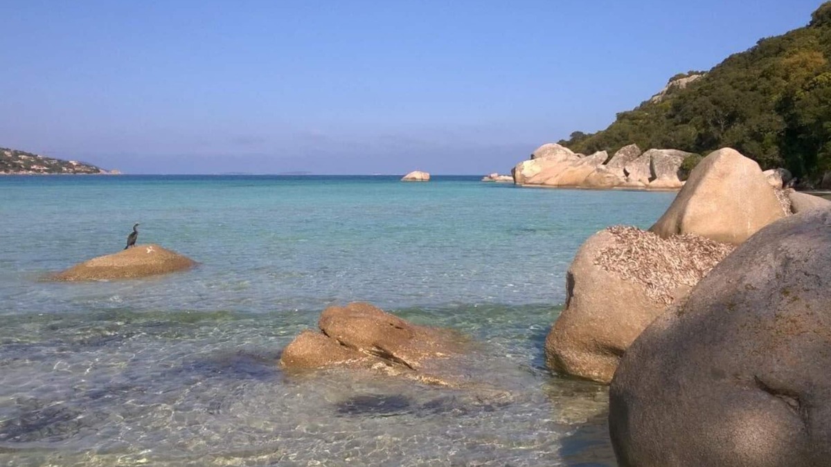 Cala Rossa Villa | Beautiful and comfortable villa ideal for vacations in South Corsica