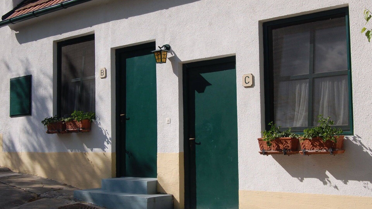 Morbisch am See Apartment | Beautiful apartment for 3 people with WIFI, TV and terrace