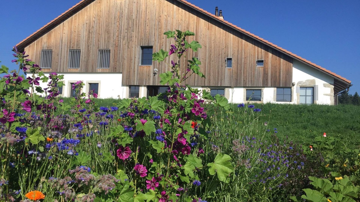 La Brevine Apartment | Beautiful apartment in an old renovated farmhouse