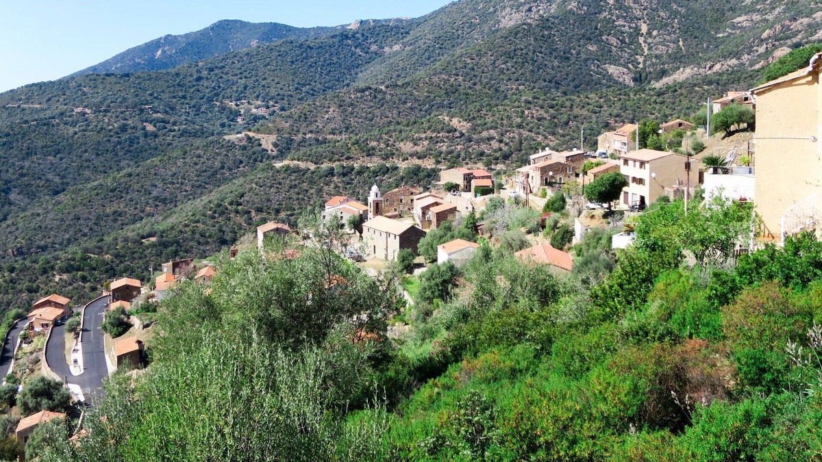 Partinello Apartment | Beautiful apartment for 3 people with A/C, WIFI, TV, patio, pets allowed and panoramic view