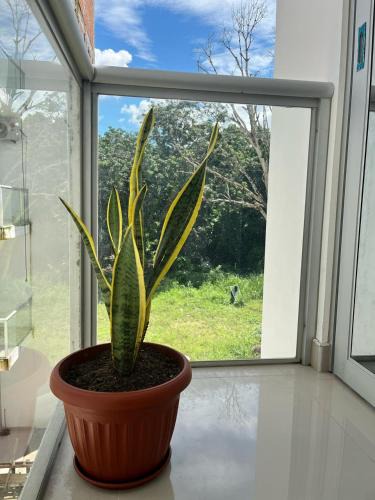 Cacatachi Apartment | Beautiful Apartment in Tarapoto