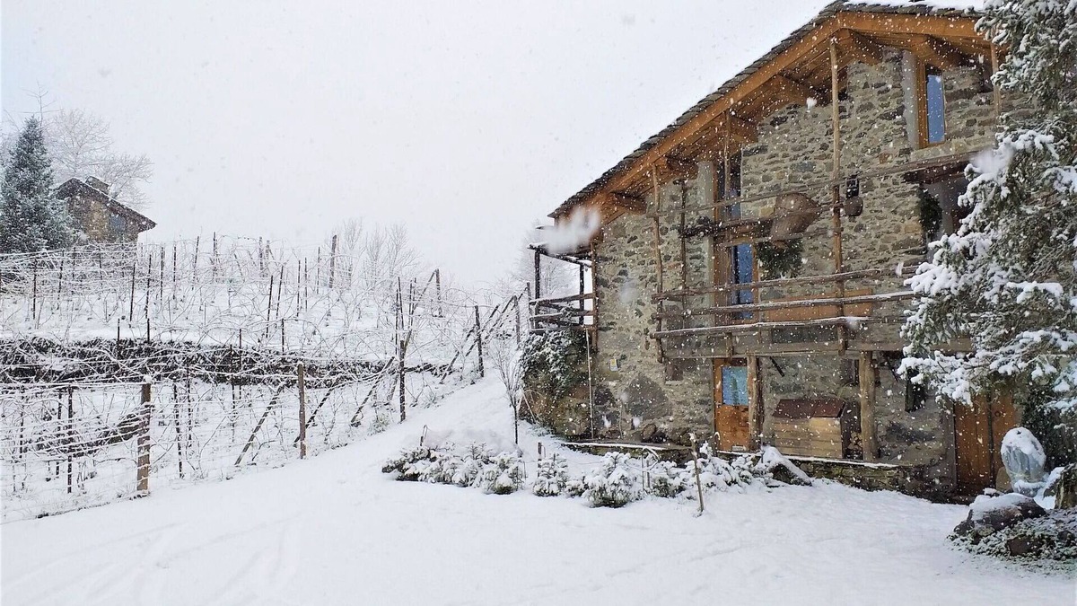 Piuro House | Beautiful apartment in villa for 3 people with terrace, pets allowed and parking