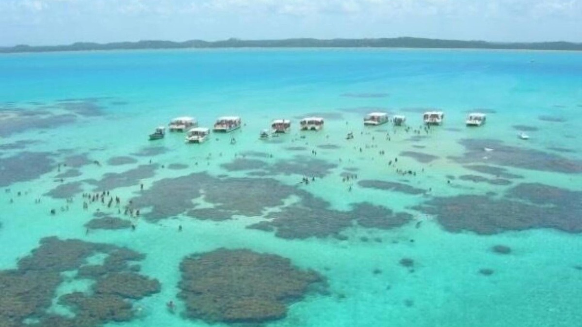 Barra Mar House | BEAUTIFUL BEACH HOUSE IN BARRA DE SÃO MIGUEL