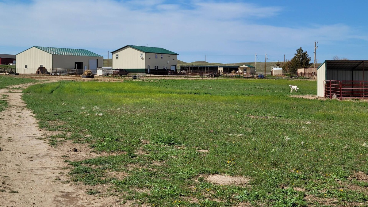 Lingle Bed & Breakfast | Beautiful barndiminiom Ranch Double Queen- Experiences and Activities available