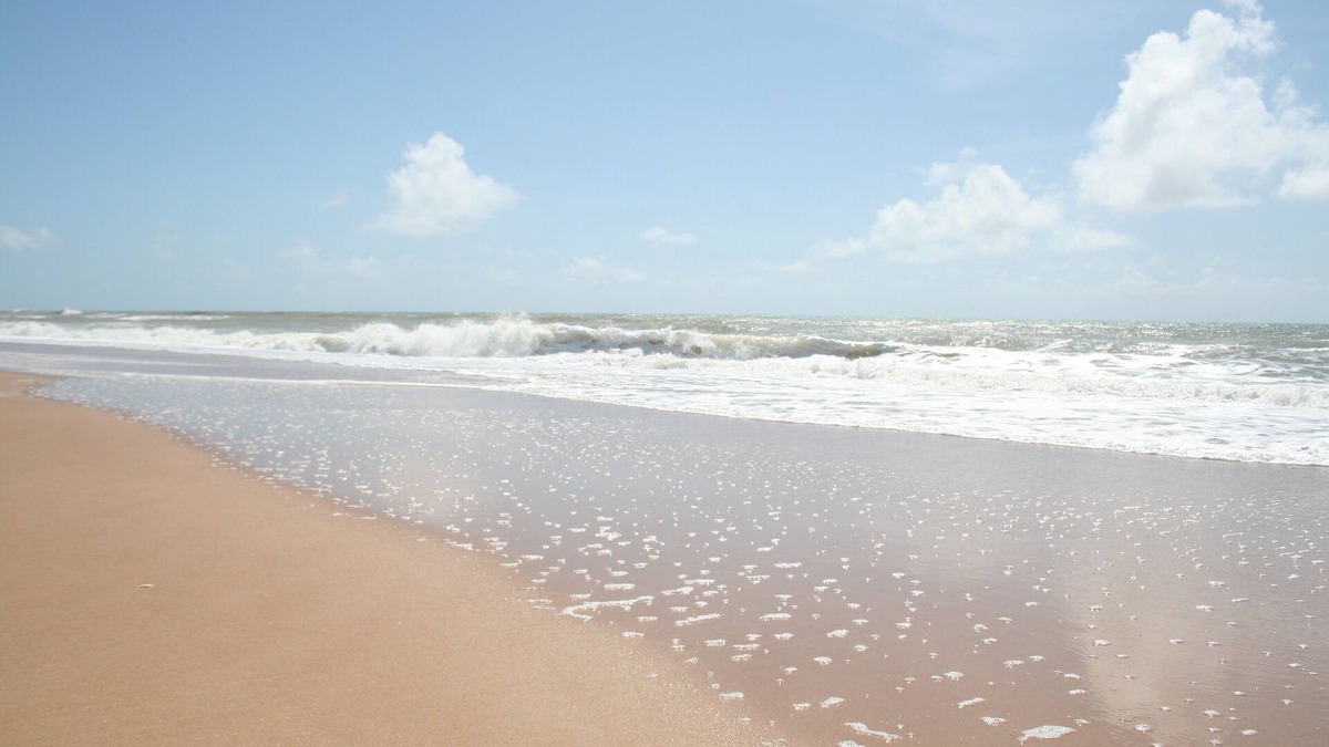 Porto de Sauipe House | Beautiful beach house with sea view, right on the sand!