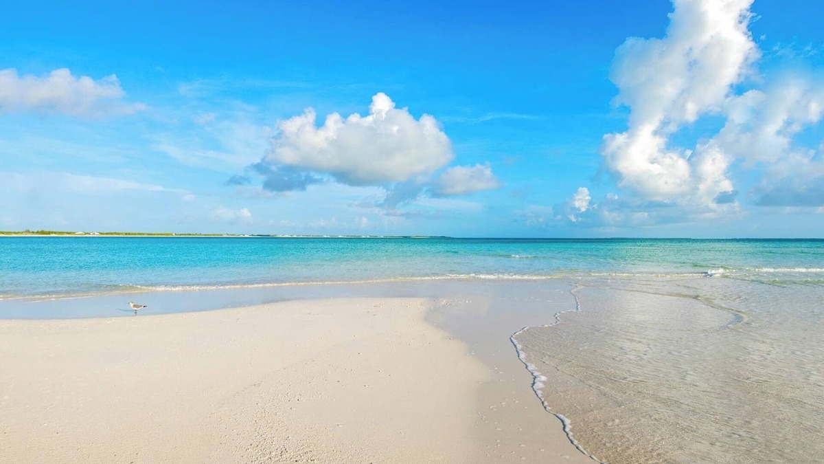 Treasure Cay Resort | Beautiful Beach Condo