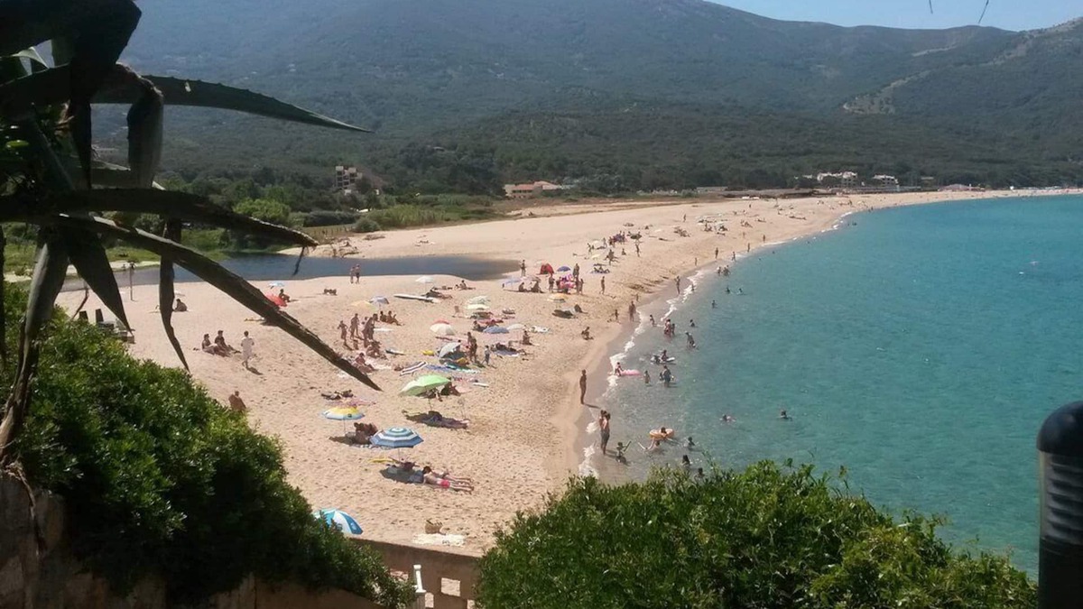 Calcatoggio Apartment | Beautiful beachfront apartment in Liscia