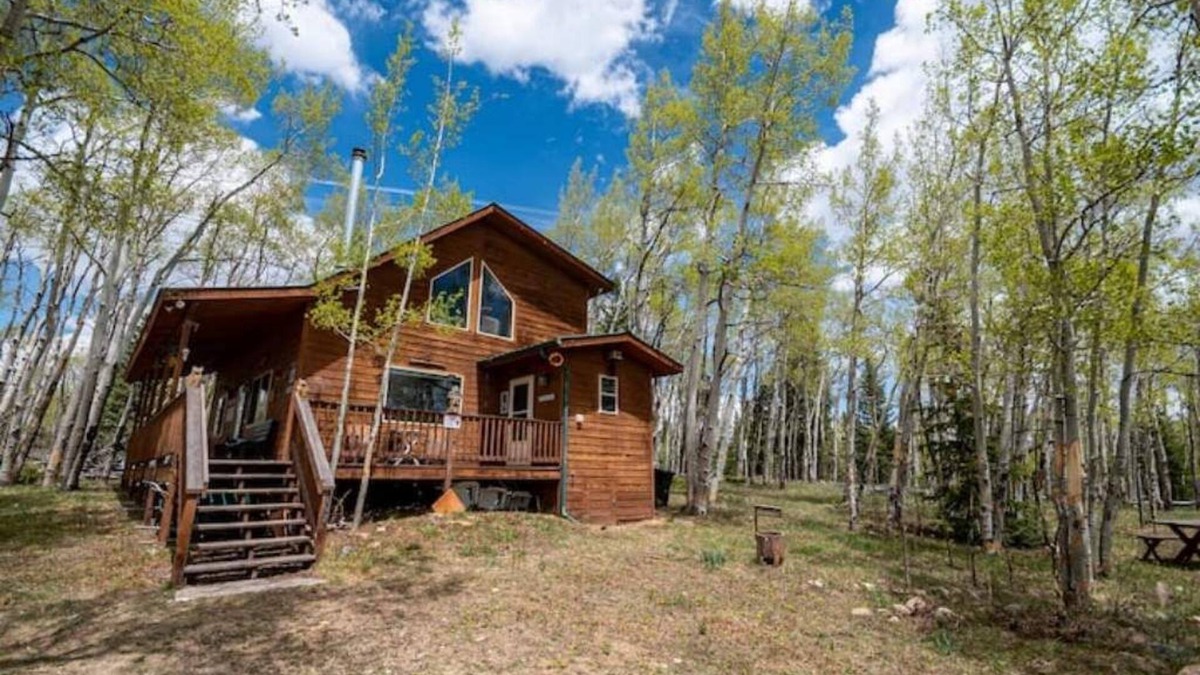 Michigan Hill Cabin | Beautiful, Cozy and Quiet Home Nestled in an Aspen Grove