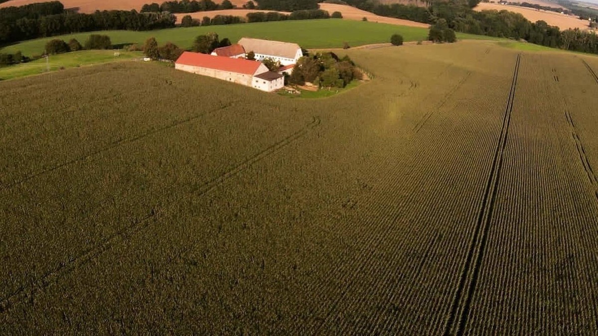 Leuben-Schleinitz Apartment | Beautiful Gutshof holiday apartment - vacation on the farm