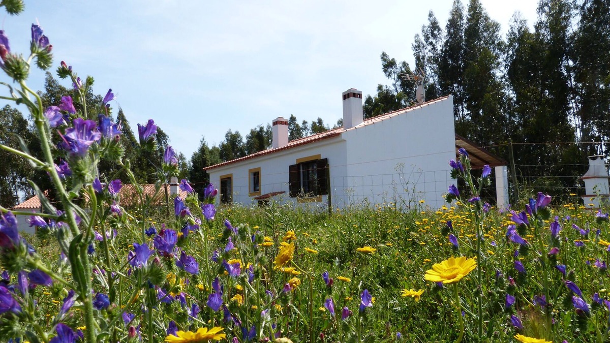 Santiago do Cacem House | Beautiful. house located on a hill