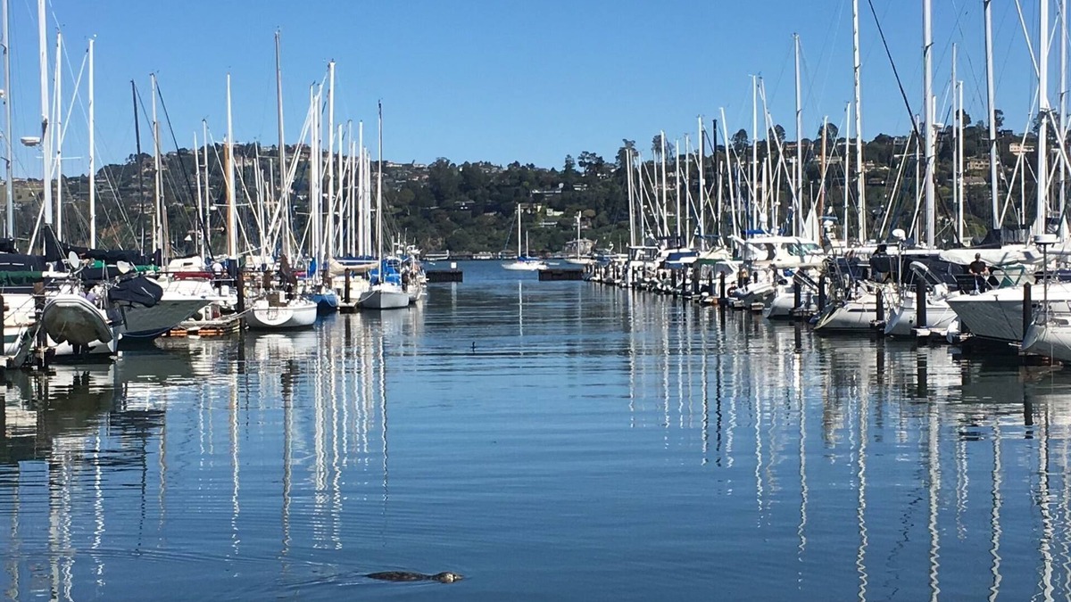 Old Town House | Beautiful home steps from the Sausalito waterfront and restaurants.