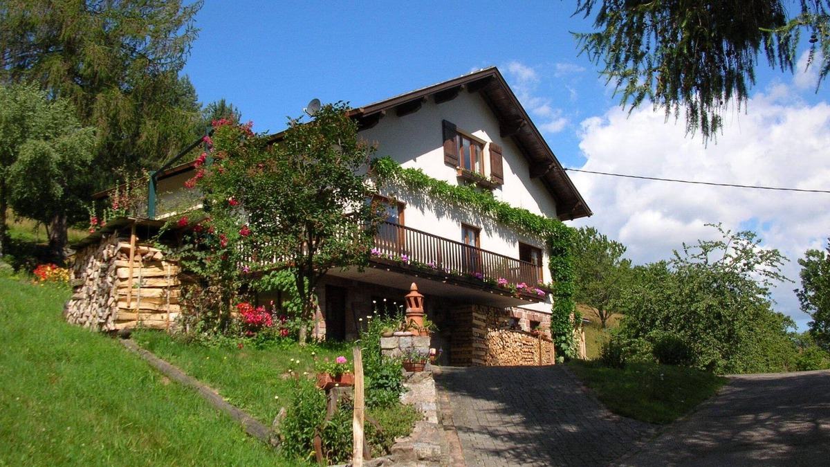 Eschbach-au-Val Apartment | Beautiful house in Alsace (in the Valley of Munster)