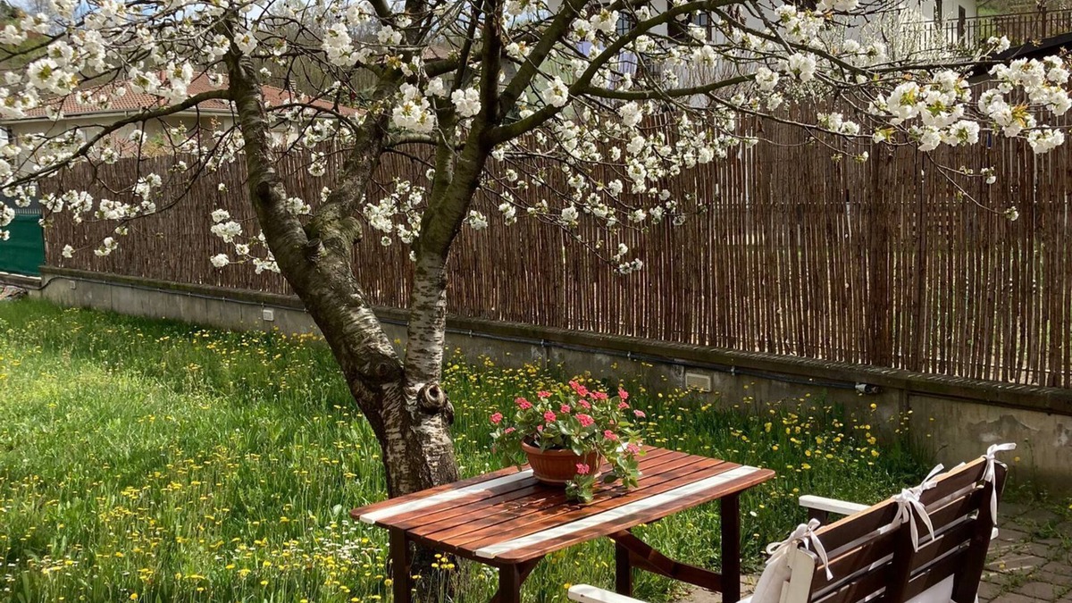 Canelli Apartment | Beautiful house in quiet area within walking distance of the center of Canelli