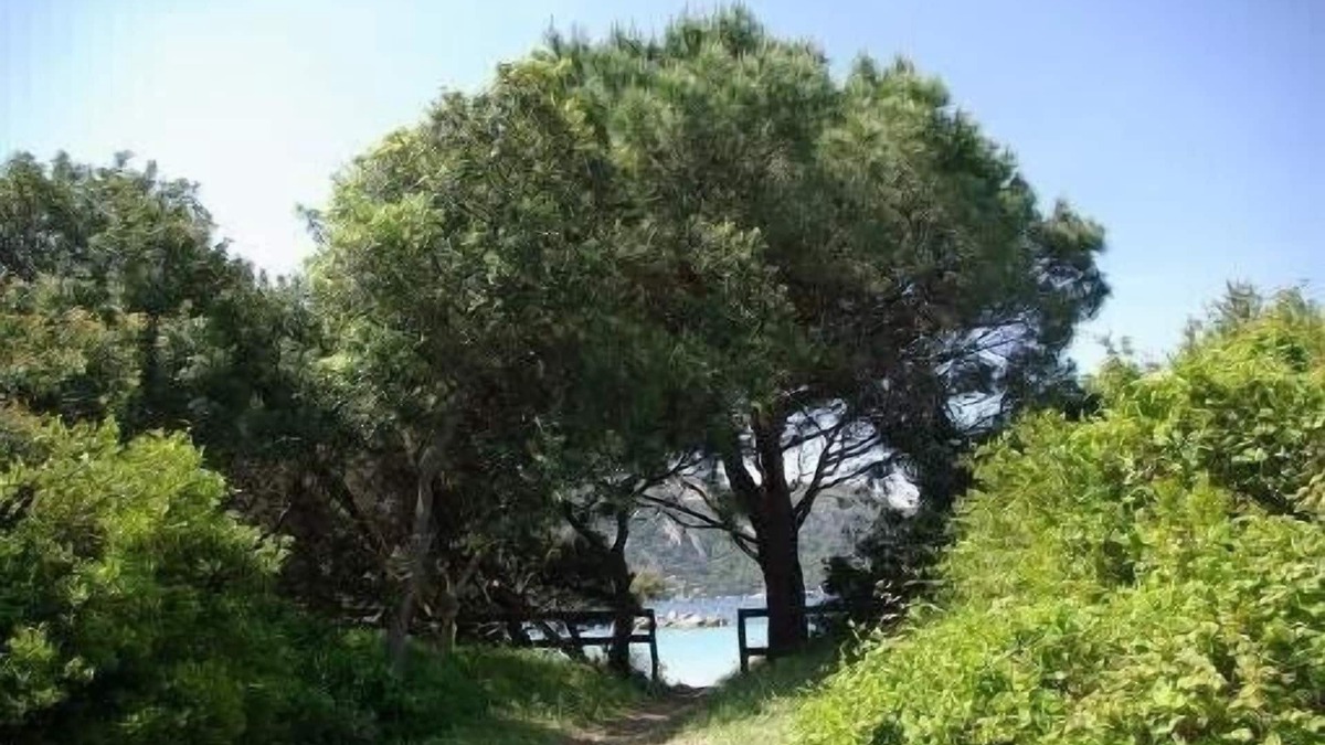 Santa Giulia House | Beautiful house with garden 50 meters from the beach
