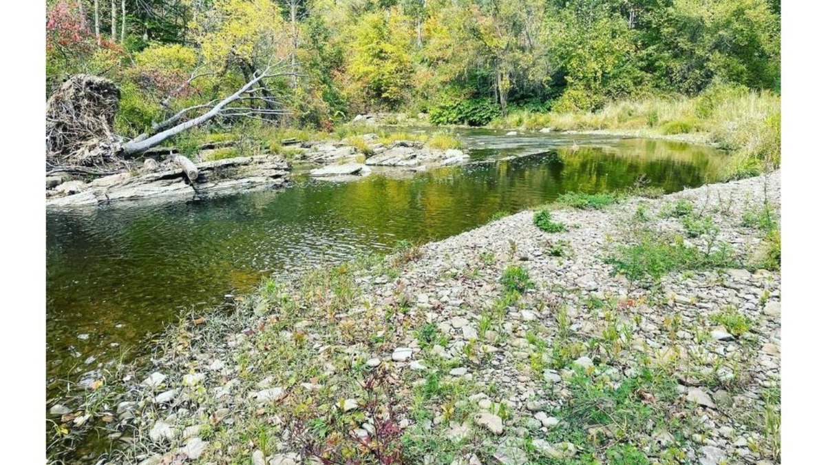 Angelica Cabin | Beautiful Hunter Log Cabin on 5 Acre Lot