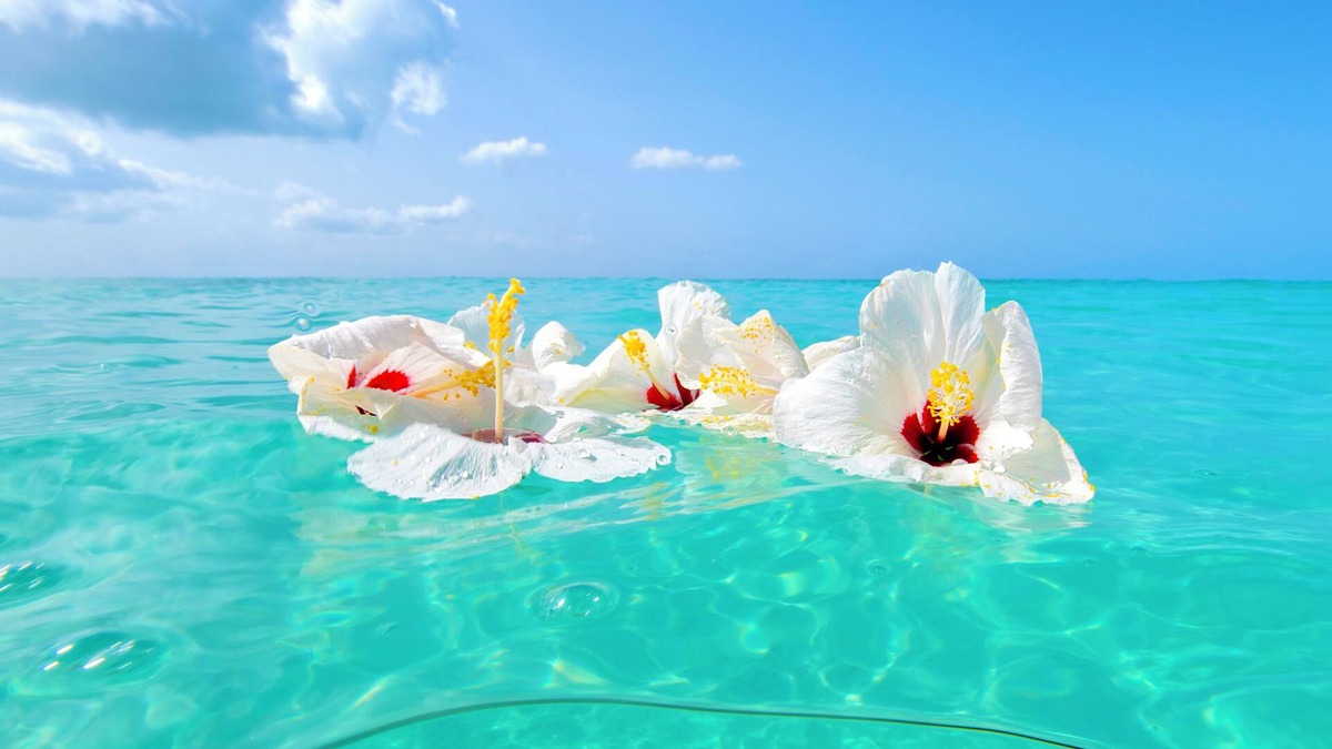 Treasure Cay Condo | Beautiful Island Getaway