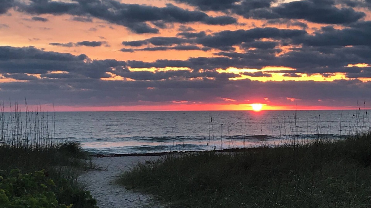 Fort Pierce Shores Apartment | Beautiful Island Suite! Secluded beach! Pool!